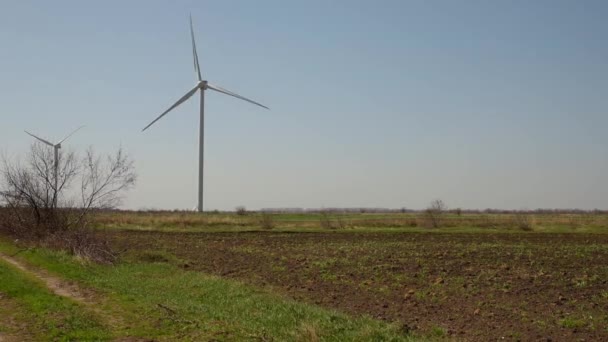 Mori Vânt Câmp Într Vară Kherson — Videoclip de stoc