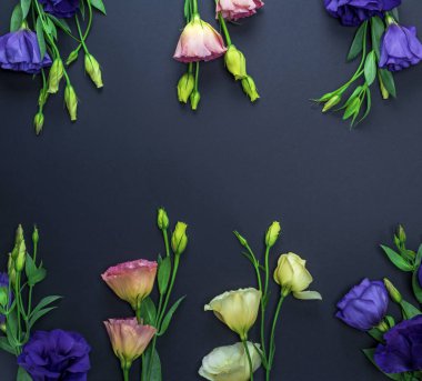 Mor, beyaz ve pembe eustoma çiçekler bir siyah Kağıt arka plan boş alan orta