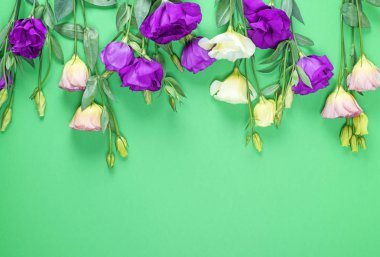taze çiçek açan çiçekler Eustoma Lisianthus yeşil Kağıt arka planda, kopya alanı