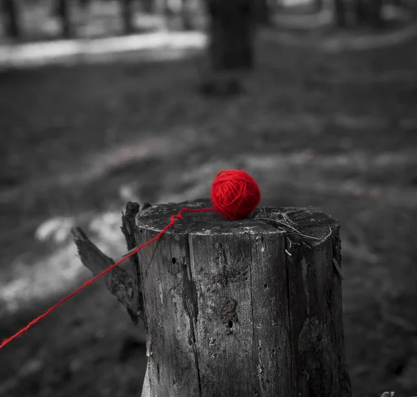 木の切り株に横たわる編み物のための糸の赤いウールボール 創造的な概念 — ストック写真