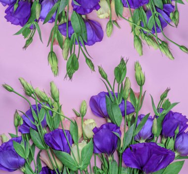 taze çiçek açan çiçekler Eustoma Lisianthus pembe Kağıt arka planda, üstten görünüm