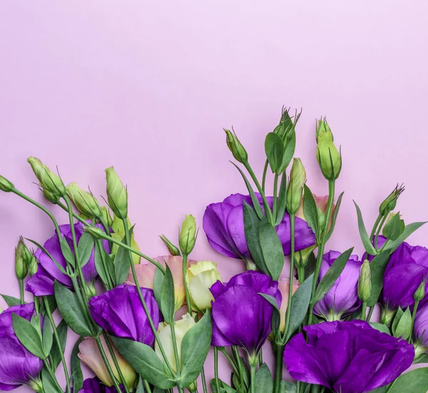 Flores Frescas Florescendo Eustoma Lisianthus Fundo Papel Rosa Close — Fotografia de Stock