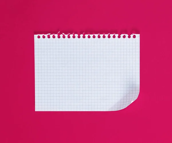 Prázdný Obdélníkový Bílý List Vytržené Poznámkový Blok Růžovém Pozadí — Stock fotografie