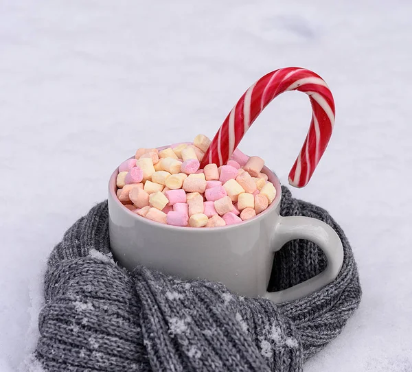 Taza Cerámica Gris Con Chocolate Caliente Trozos Malvavisco Nieve Cerca — Foto de Stock