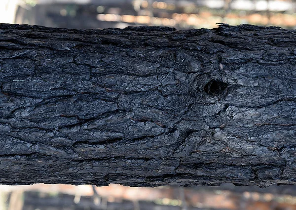 Burnt Pine Törzs Töredék Közelről — Stock Fotó