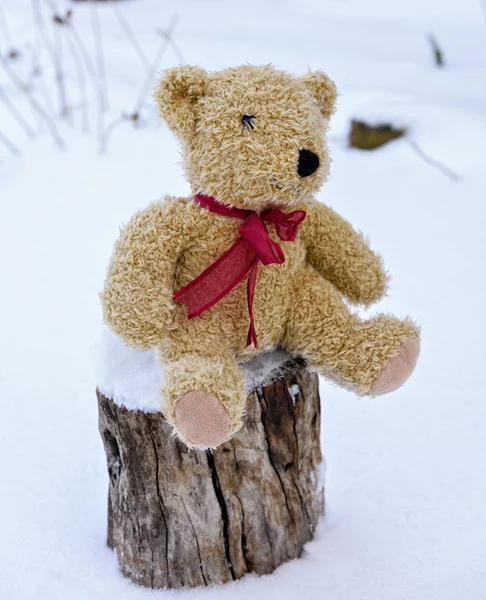 Oso Juguete Suave Para Niños Marrón Sentado Muñón Medio Nieve — Foto de Stock