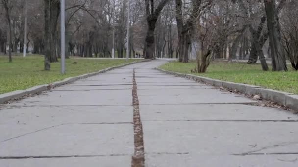 Пешеходная Дорожка Городском Парке Движение Вперед Стрельба Ниже — стоковое видео