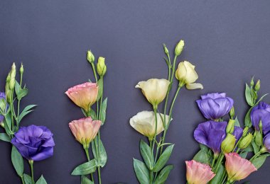 taze çiçek açan çiçekler Eustoma Lisianthus siyah Kağıt arka planda, üstten görünüm alanı Kopyala