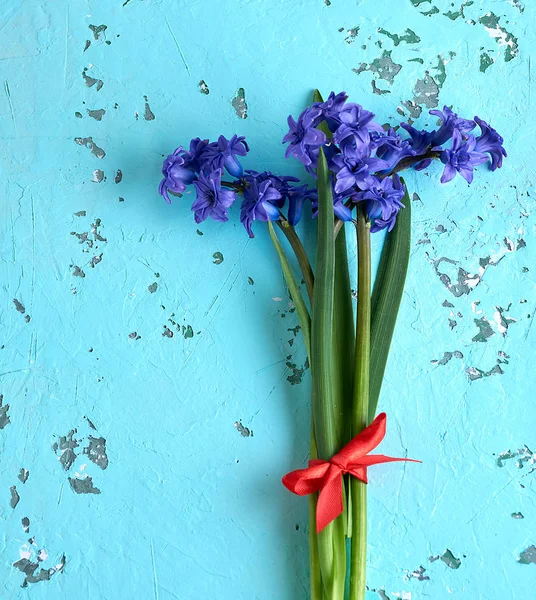 Bouquet Giacinti Blu Sfondo Verde Legato Con Nastro Rosso — Foto Stock