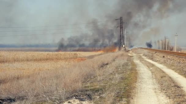 Wielki Pożar Polu Dmuchane Przez Silny Wiatr Ukraina Zwolnionym Tempie — Wideo stockowe