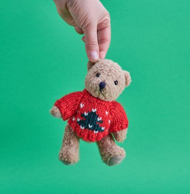 Kadın eli yeşil arka planda küçük bir oyuncak ayıyı kulağından tutuyor.