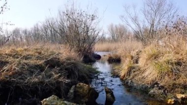 ilerlemeye, aşağıdan, Ukrayna, Kherson şehir çekim nehir doğal akışı