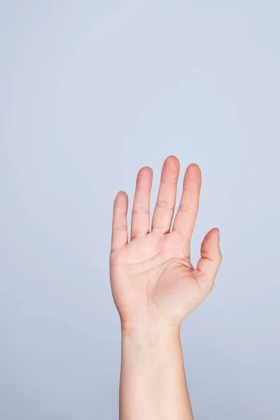 Vrouwelijke hand opgewekt op een witte achtergrond — Stockfoto