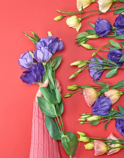 Mão feminina em um suéter rosa segurando um ramo de uma flor azul — Fotografia de Stock