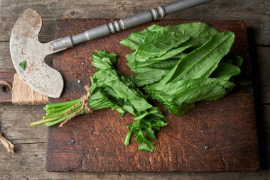  eski bir kahverengi ahşap tahta ve eski bir iro yeşil sorrel yaprakları