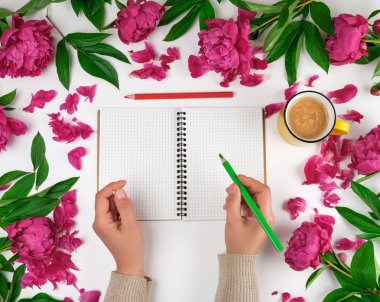 bir kafes ve iki kadın elinde açık defter, sarı bir fincan ile 