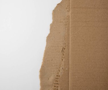 kutudan kahverengi kağıt, beyaz bir arka plan üzerinde yırtık kenarı