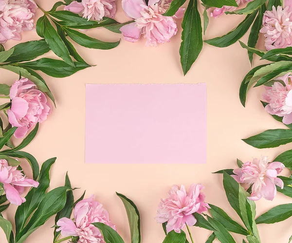 empty pink paper sheet on a peach background