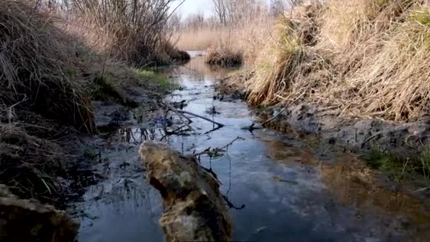 Fuente Natural Agua Fluye Desemboca Río Dnieper Disparando Desde Abajo — Vídeo de stock