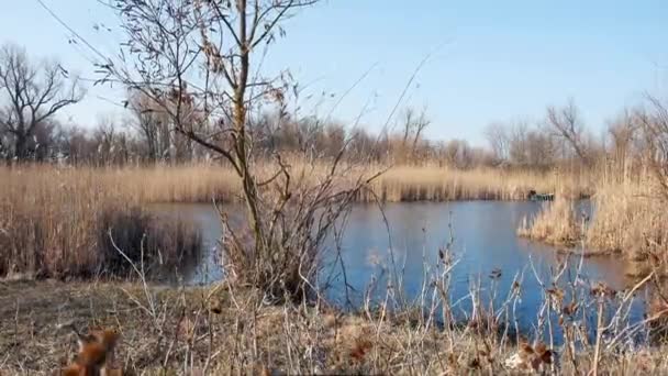 Över Floden Dnepr Början Våren Ukraina Kherson Regionen — Stockvideo