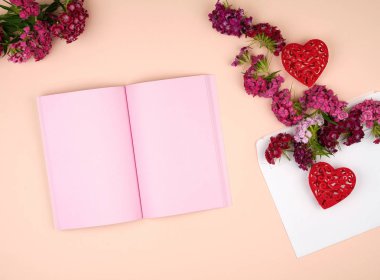 Açık Notebook pembe boş sayfaları ile