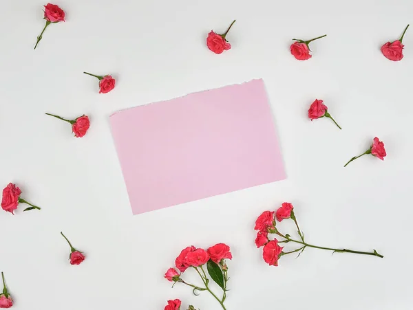 Hoja rosa vacía de papel y brotes de rosa rosa sobre fondo blanco —  Fotos de Stock
