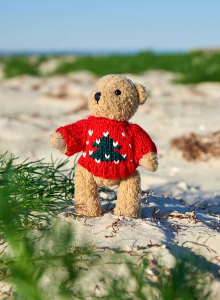 Orsacchiotto marrone in un maglione rosso si erge sulla spiaggia sabbiosa a — Foto Stock