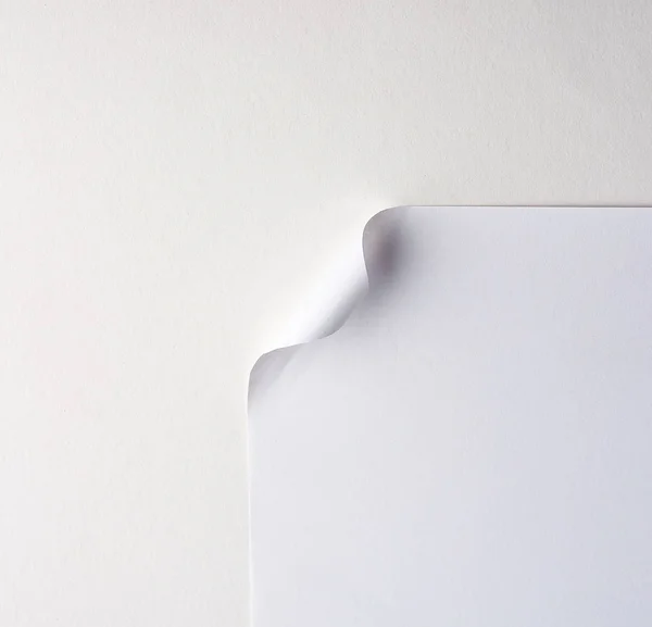 Κενό λευκό φύλλο χαρτιού με καμπυλωτή γωνία — Φωτογραφία Αρχείου