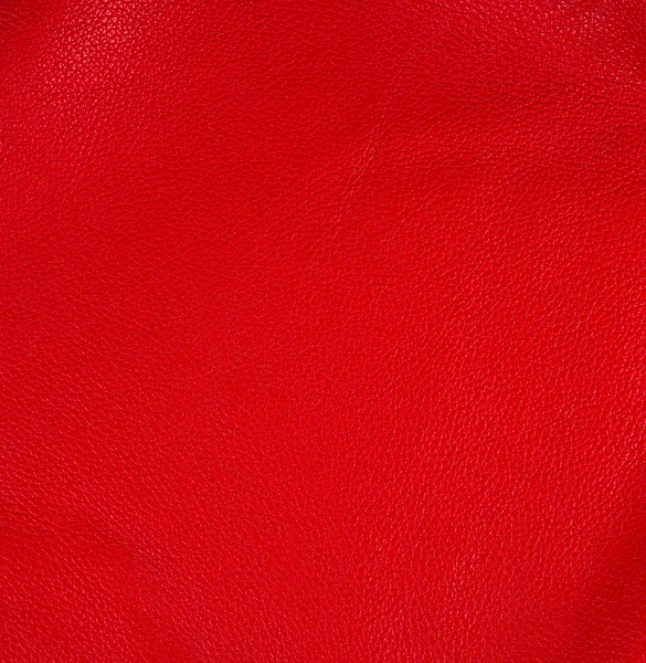 Természetes fényes piros marhabőr textúra, teljes képkocka — Stock Fotó