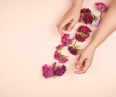 açık pürüzsüz deri ve çiçek açan bir Türk ca tomurcukları ile eller