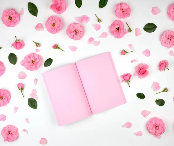 Carnet ouvert avec pages blanches roses — Photo