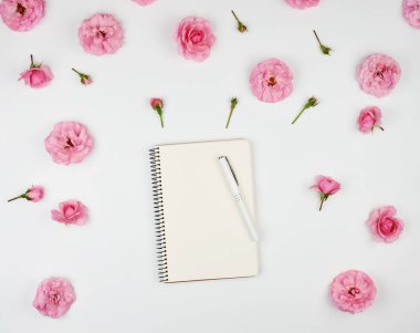 defter ile beyaz boş sayfaları 