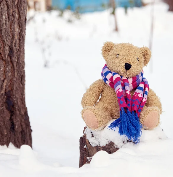 Brown children`s soft toy bear in a bright knitted scarf