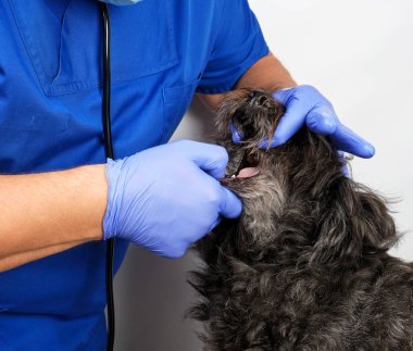 mavi üniforma ve steril lateks eldiven doktor