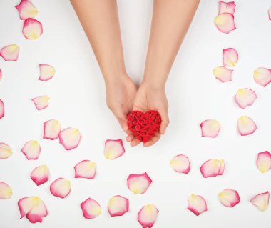 kadın eller kırmızı kalp, beyaz arka plan tutun 