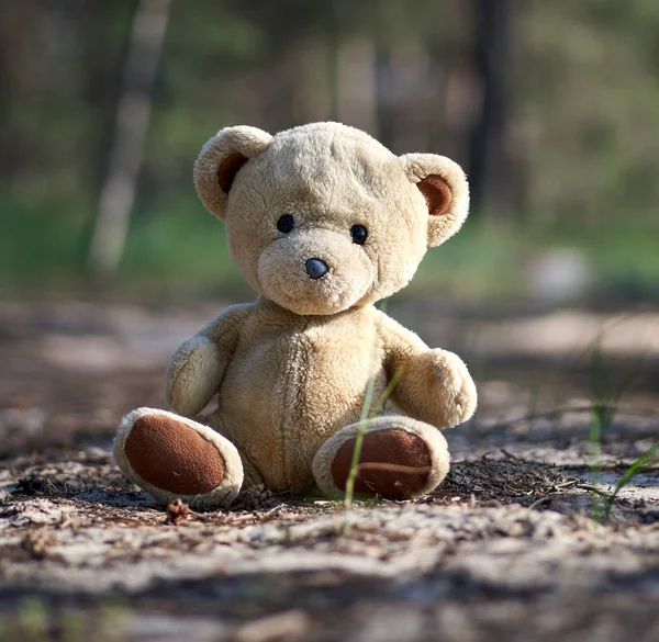 Achtergelaten bruine teddybeer zittend in het midden van het bos i — Stockfoto