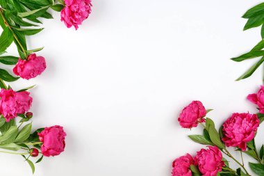 çiçekaçan kırmızı şakayık ve yeşil yapraklar