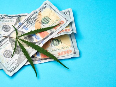 crumpled banknotes of american dollars and green leaf of hemp on clipart