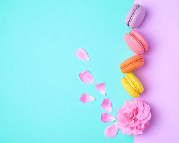 Stock image four multi-colored macarons with cream and a pink rose bud