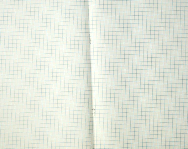 单元格中打开的学校笔记本的纹理 — 图库照片