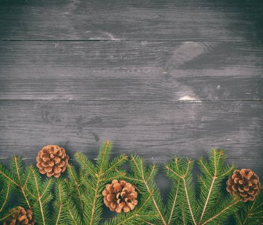 panoları siyah bir arka plan üzerinde iğne yeşil dalları