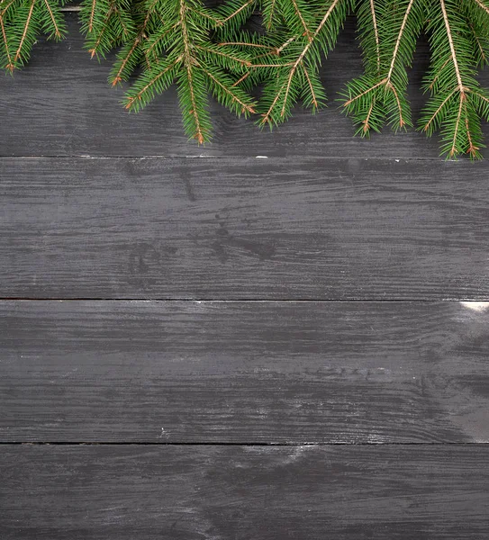 siyah ahşap arka plan üzerinde bir Noel ağacının yeşil dalları