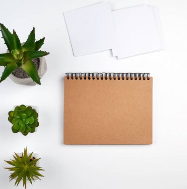 boş kahverengi levhalar ile açık spiral defter, yeşil tencere