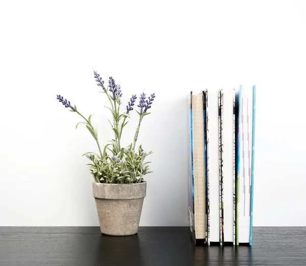 Beyaz sayfalı defterler ve seramik kaplar ile bitkiler — Stok fotoğraf