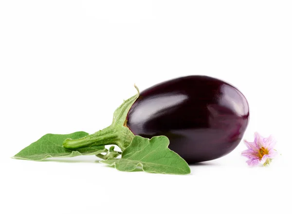 Hele rijp paarse aubergine, groene bladeren en bloemen planten — Stockfoto