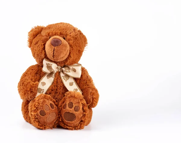 Bruine teddybeer met een strik op zijn nek, witte achtergrond — Stockfoto