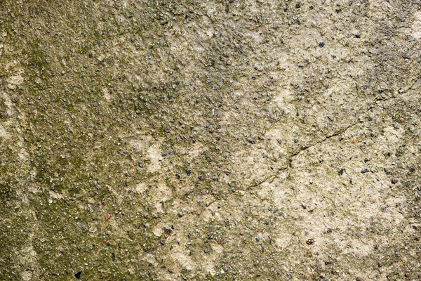 Nasser grauer Zement, Vollrahmen — Stockfoto