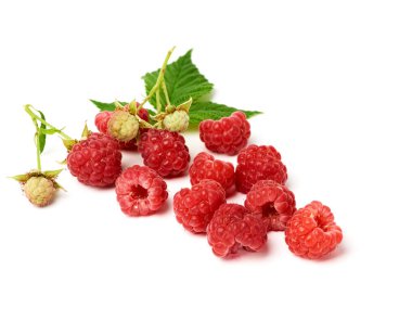 beyaz bir backgrou kırmızı olgun ahududu ve yeşil yaprak demet