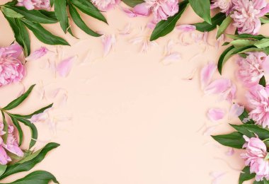 şeftali arka plan üzerinde çiçek açan pembe şakayık tomurcukları