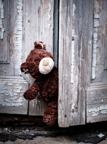 Bruine teddybeer gluurt uit van achter een oude deur met gebarsten — Stockfoto